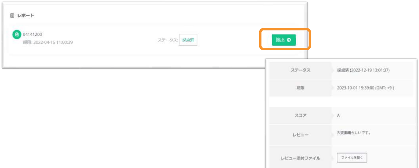 採点済みレポートのスコアとレビュー